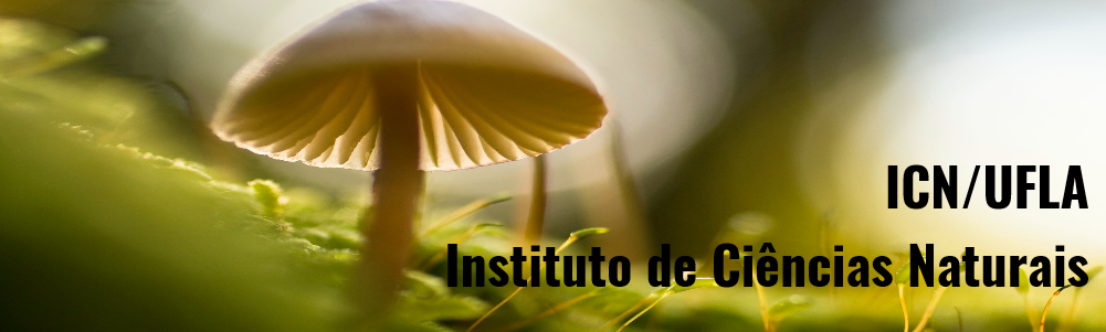 Banner-principal-ICN3